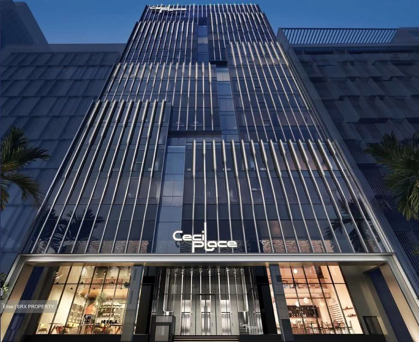 Cecil Place (D1), Office #618697141